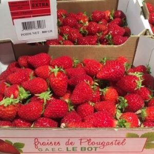 Fraises Gariguette "Le Bot"
