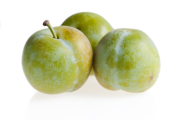 Prunes Reine Claude Véritable
