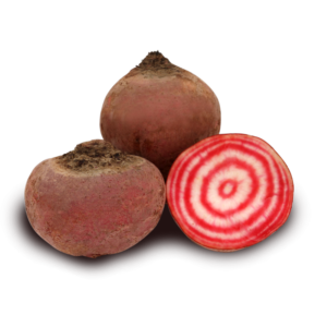 Betteraves Chioggia Crue