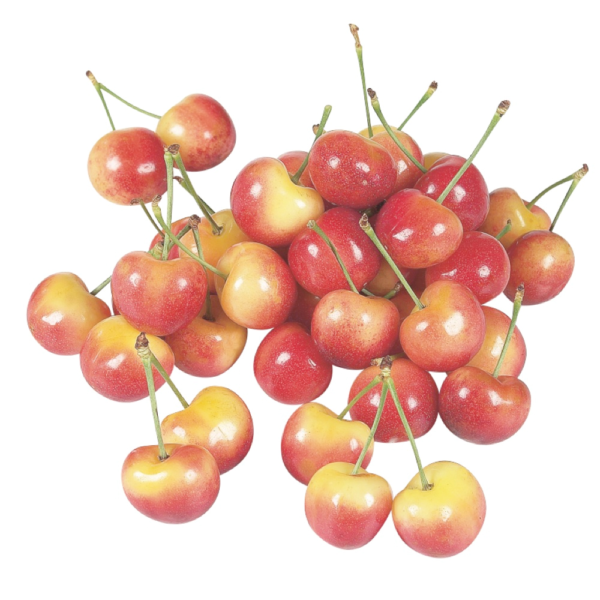 Cerises Rainier