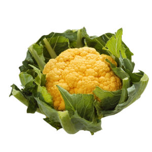Chou Fleur Orange