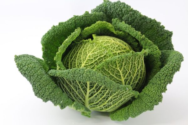 Chou Vert