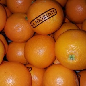 Mandarines La Soculente Extra (Qualité Supérieure)