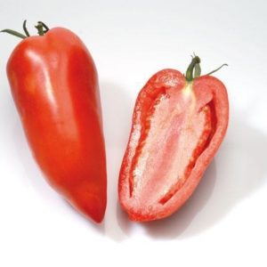 Tomate San Marzanno