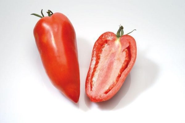 Tomate San Marzanno