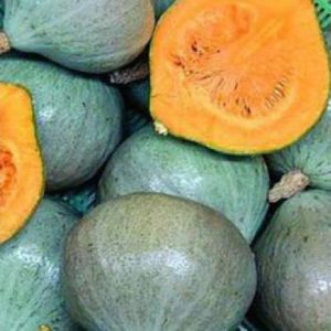 Courge Bleue de Hongrie