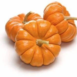 Courge Jack Be Little
