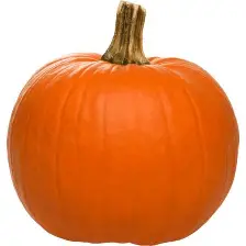 Courge Jack o' lantern