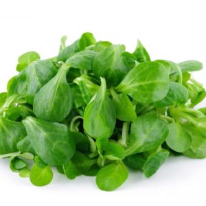 Salade Mâche BIO