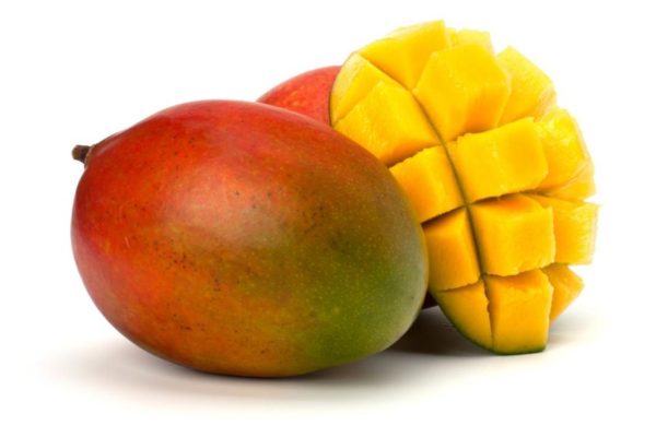 Mangue