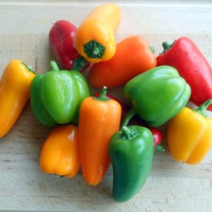 Mini-Poivrons Multicolores