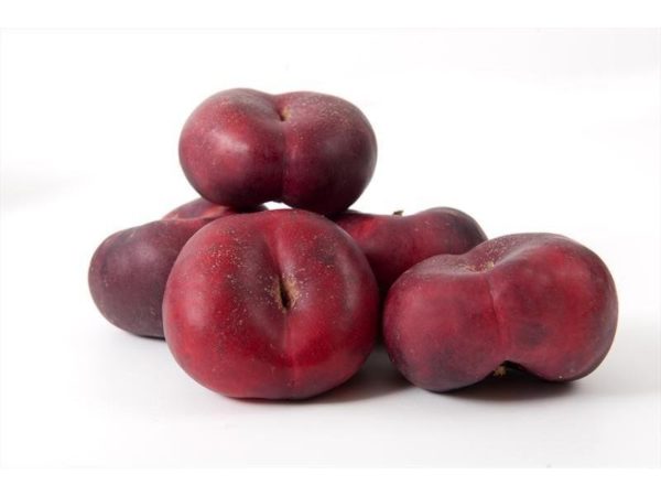 Nectarines Blanches Plates