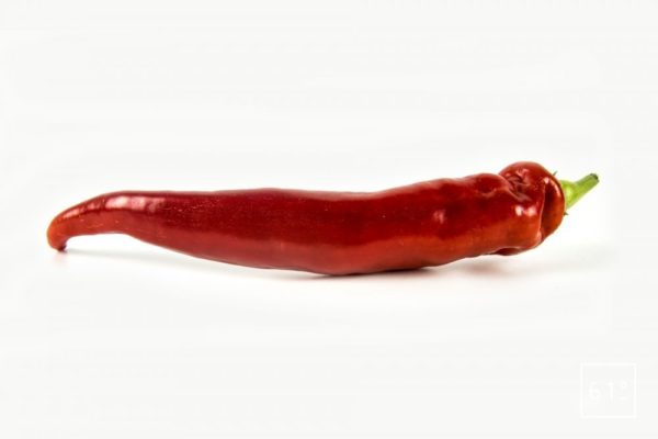 Piment (Type Espelette)
