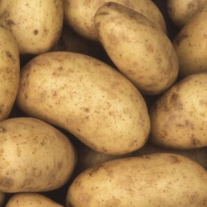 Pommes De Terre UTO (spécial purée)