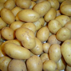 Pommes de Terre Jazzy (Lavées)
