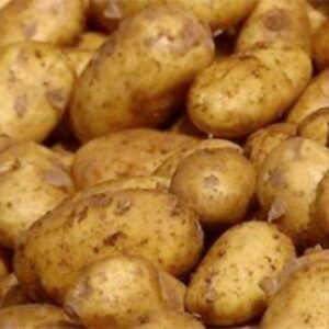 Pommes de Terre Nouvelles (500g)