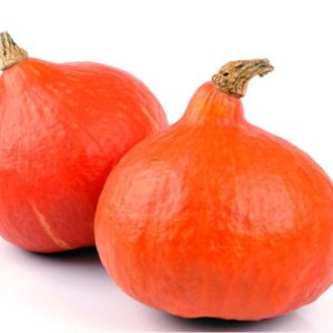 Potimarron