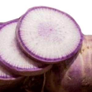 Radis Blue Meat