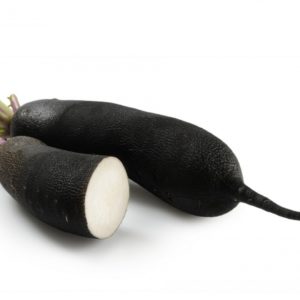 Radis Noir