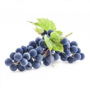 Raisin Muscat de Hambourg Extra