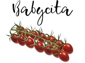 Tomates Cerise Babycita JOUNO