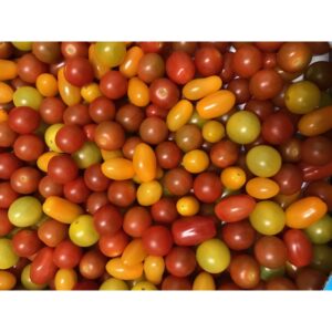 Tomates Cerise Multicolores
