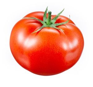 Tomates Pleine Terre