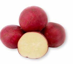 Pommes De Terre Rubis