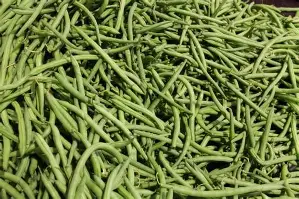 Haricots Verts (Cueillis Main)