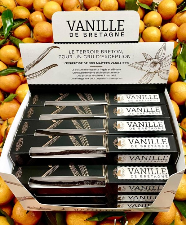 Vanille de Bretagne